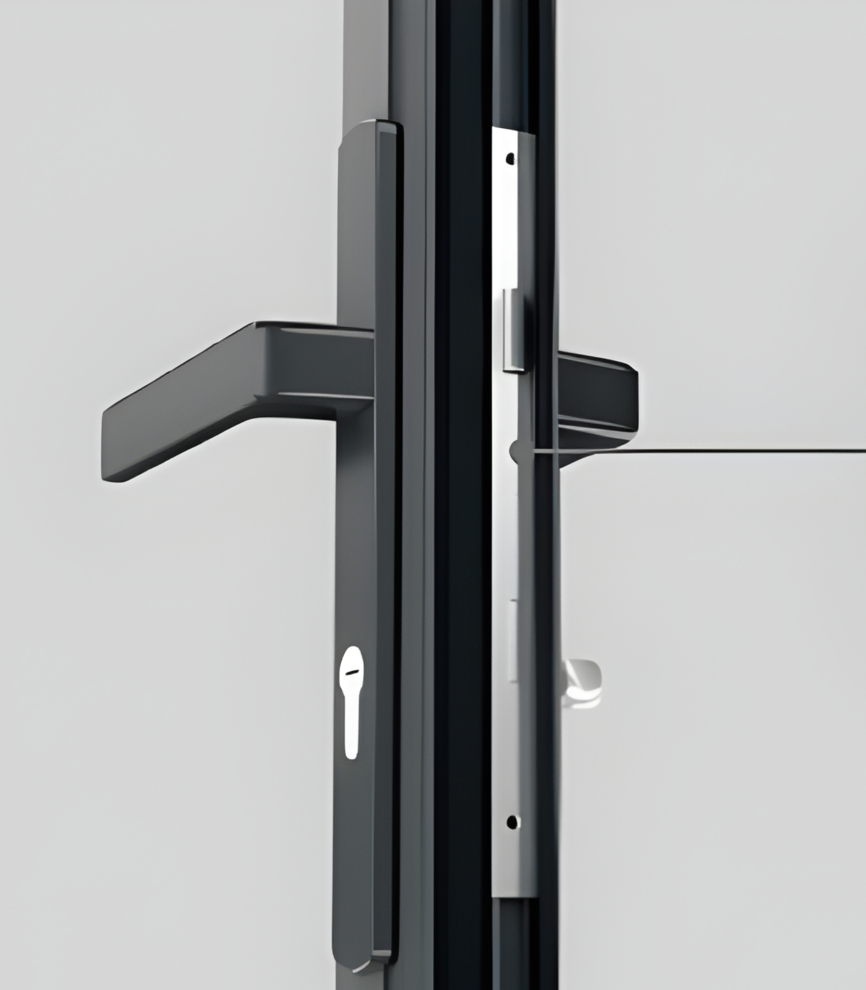 VLX 100 Swing / Entry Door in Los Angeles, CA | Meridian Windows & Doors - detail 5